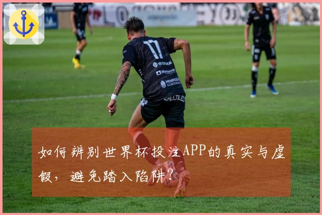 如何辨别世界杯投注APP的真实与虚假，避免踏入陷阱？