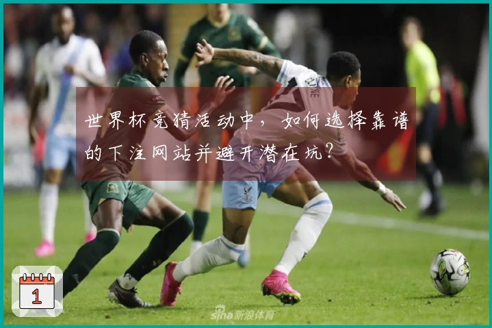 世界杯竞猜活动中，如何选择靠谱的下注网站并避开潜在坑？