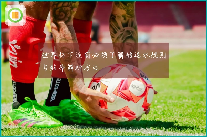 世界杯下注前必须了解的返水规则与赔率解析方法