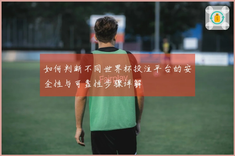 如何判断不同世界杯投注平台的安全性与可靠性步骤详解