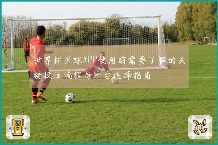 世界杯买球APP使用前需要了解的关键投注流程与平台选择指南