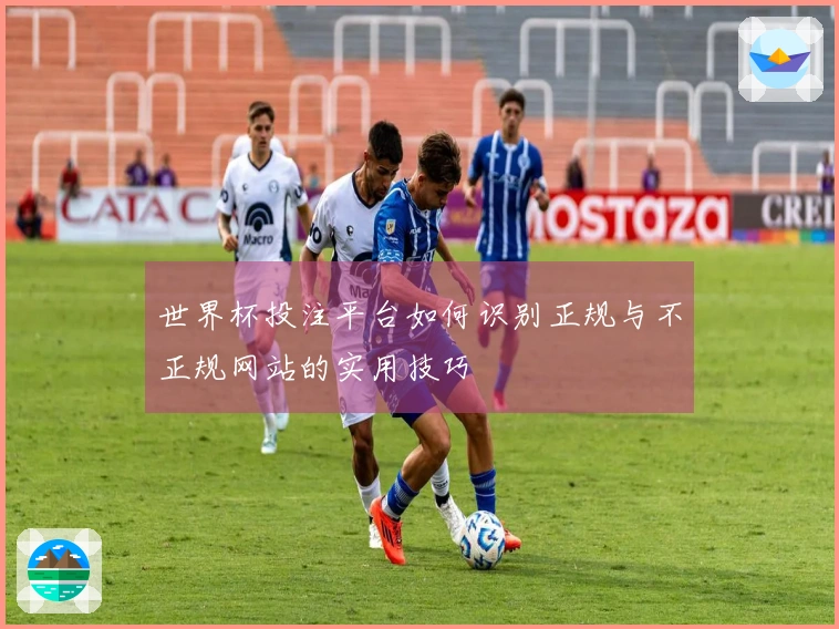 世界杯投注平台如何识别正规与不正规网站的实用技巧