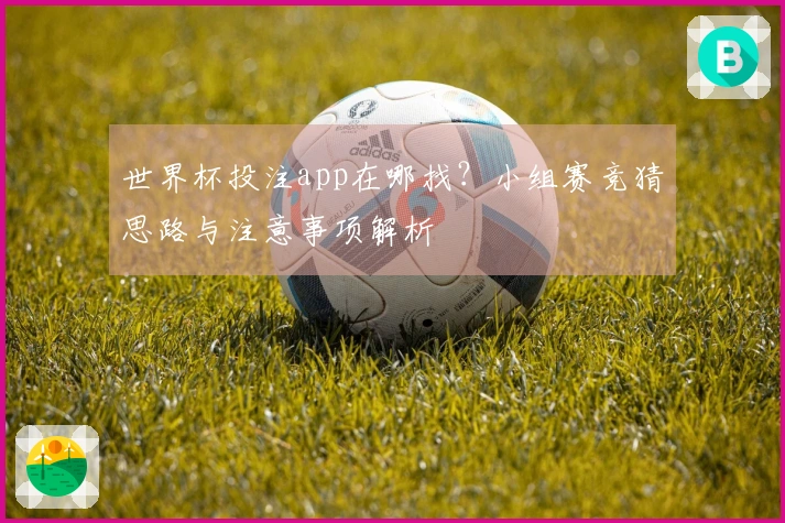 世界杯投注app在哪找？小组赛竞猜思路与注意事项解析