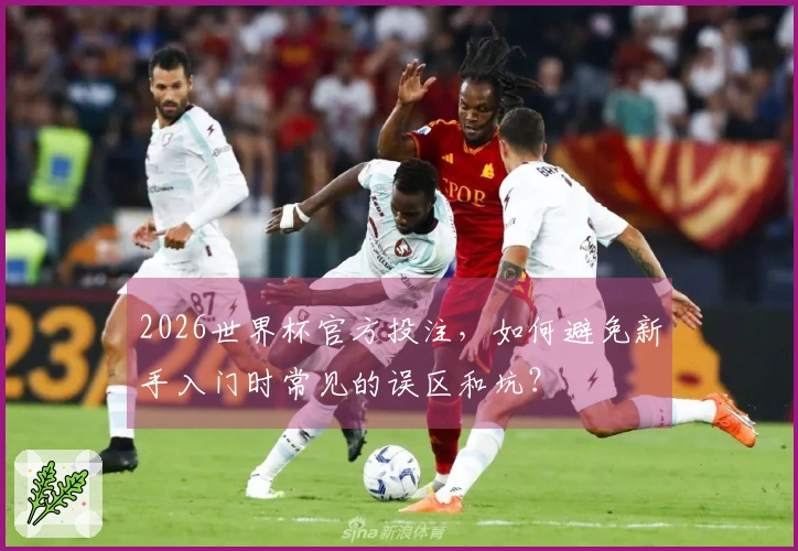 2026世界杯官方投注，如何避免新手入门时常见的误区和坑？