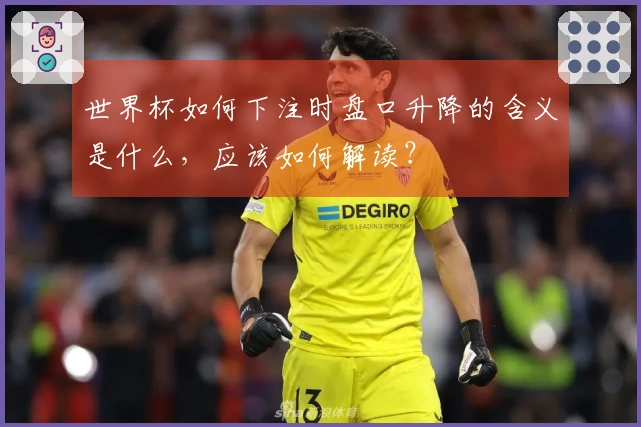 世界杯如何下注时盘口升降的含义是什么，应该如何解读？