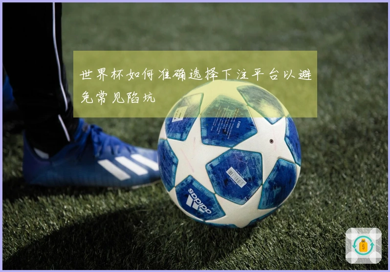 世界杯如何准确选择下注平台以避免常见陷坑