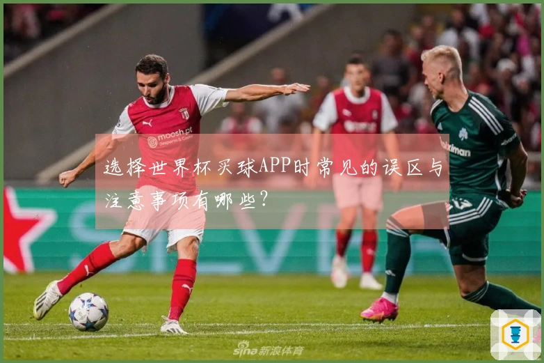 选择世界杯买球APP时常见的误区与注意事项有哪些？